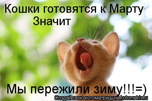 Котоматрица: Кошки готовятся к Марту Значит Мы пережили зиму!!!=)