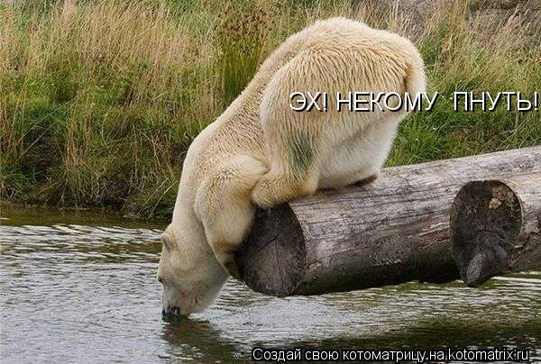 Котоматрица: ЭХ! НЕКОМУ  ПНУТЬ!
