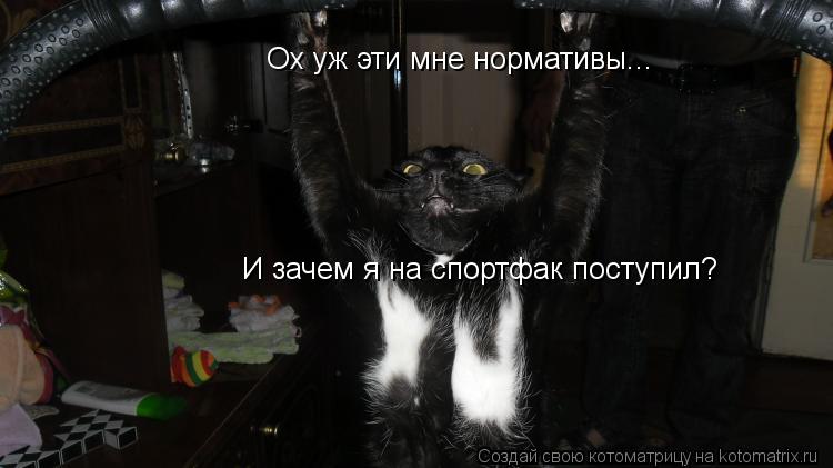 Котоматрица: Ох уж эти мне нормативы... И зачем я на спортфак поступил? Ох уж эти мне нормативы... И зачем я на спортфак поступил?