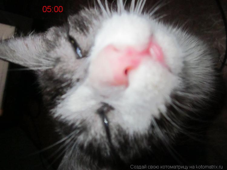 Котоматрица: 05:00