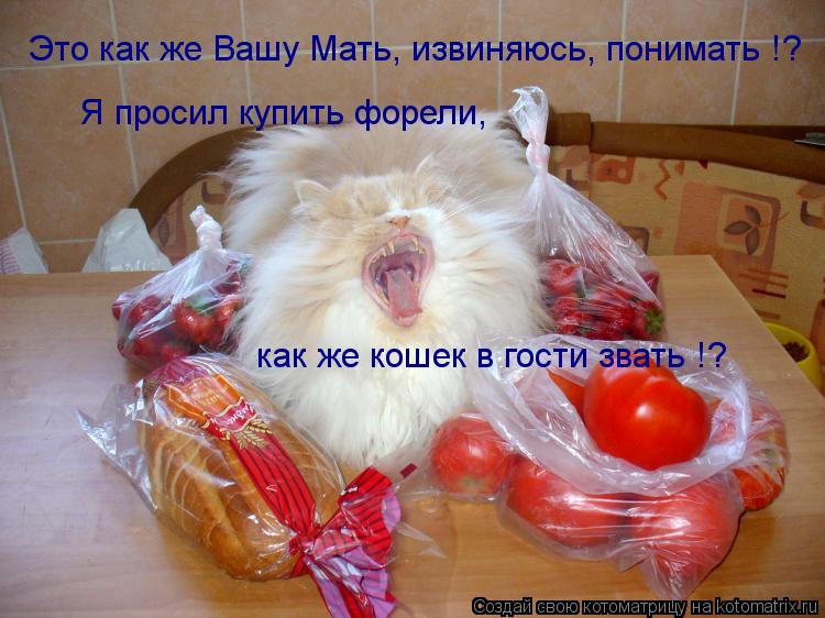 Котоматрица: Это как же Вашу Мать, извиняюсь, понимать !? Я просил купить форели,  как же кошек в гости звать !?