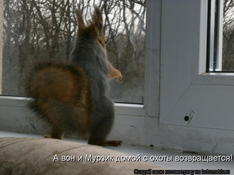Котоматрица: А вон и Мурзик домой с охоты возвращается!