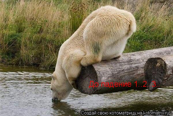 Котоматрица: До падение 1..2..3..