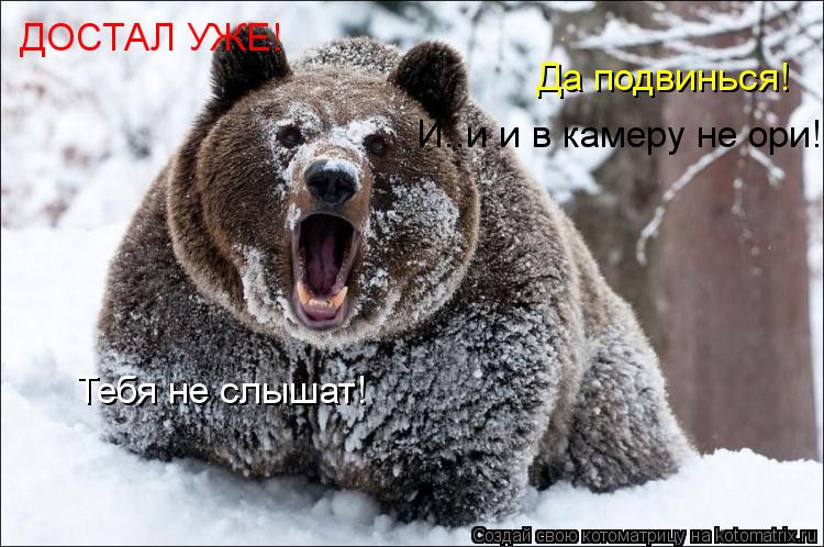 Котоматрица: ДОСТАЛ УЖЕ! Да подвинься! И..и и в камеру не ори! Тебя не слышат!