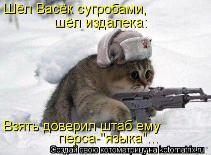 Шёл Васёк сугробами, шёл издалека: Взять доверил штаб ему перса-"языка"...... Котоматрица: Шёл Васёк сугробами, шёл издалека: Взять доверил штаб ему перса-"языка"...