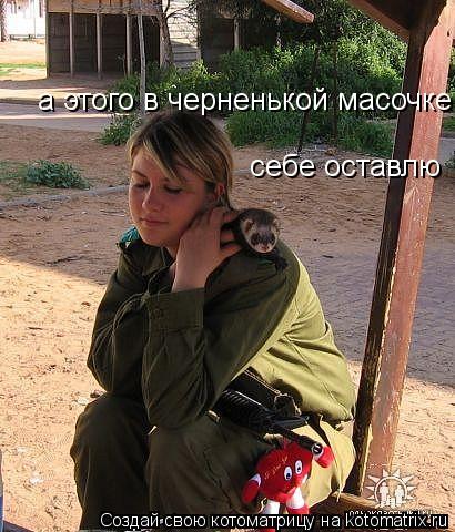 Котоматрица: а этого в черненькой масочке себе оставлю