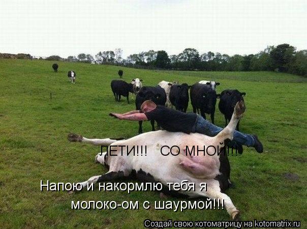 Котоматрица: ЛЕТИ!!!   СО МНОЙ!!! Напою и накормлю тебя я  молоко-ом с шаурмой!!!
