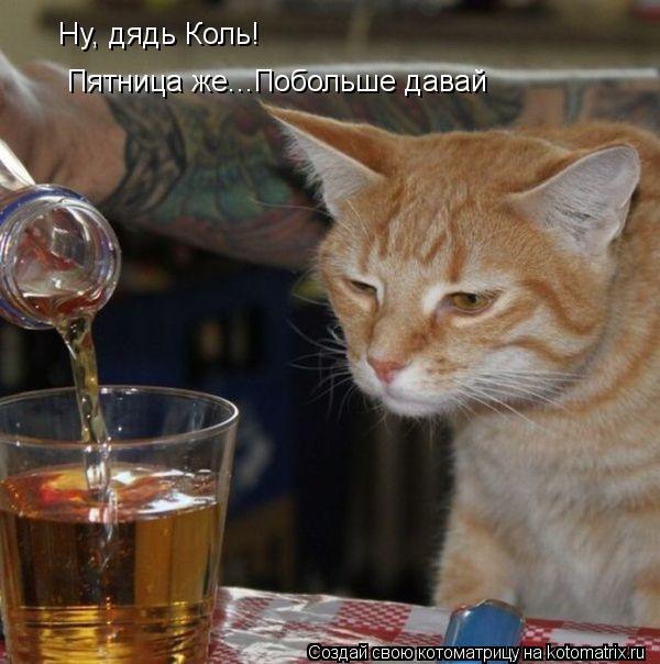 Котоматрица: Ну, дядь Коль! Пятница же...Побольше давай