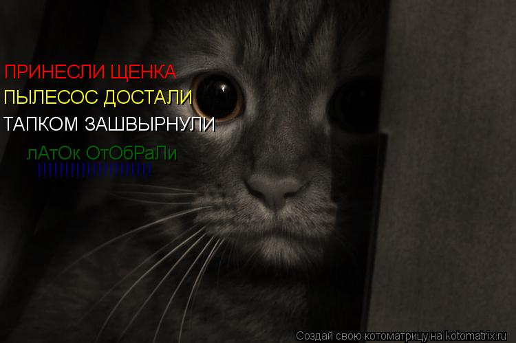 Котоматрица: ПРИНЕСЛИ ЩЕНКА ПЫЛЕСОС ДОСТАЛИ ТАПКОМ ЗАШВЫРНУЛИ лАтОк ОтОбРаЛи !!!!!!!!!!!!!!!!!!!!!