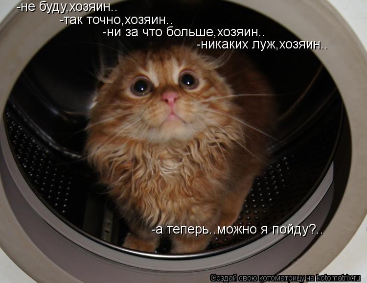 -не буду,хозяин.. -так точно,хозяин.. -ни за что больше,хозяин.. -никаких луж,хозяин.. -а теперь..мож... Котоматрица: -не буду,хозяин.. -так точно,хозяин.. -ни за что больше,хозяин.. -никаких луж,хозяин.. -а теперь..можно я пойду?..