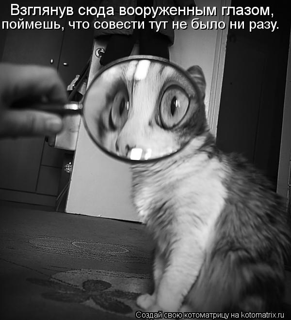 Котоматрица: Взглянув сюда вооруженным глазом, поймешь, что совести тут не было ни разу.