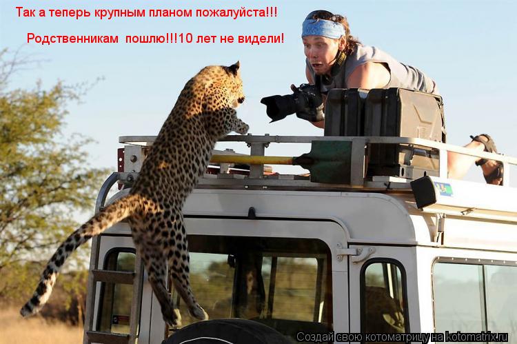 Так а теперь крупным планом пожалуйста!!! Родственникам пошлю!!!10 лет не видели!... Котоматрица: Так а теперь крупным планом пожалуйста!!! Родственникам пошлю!!!10 лет не видели!