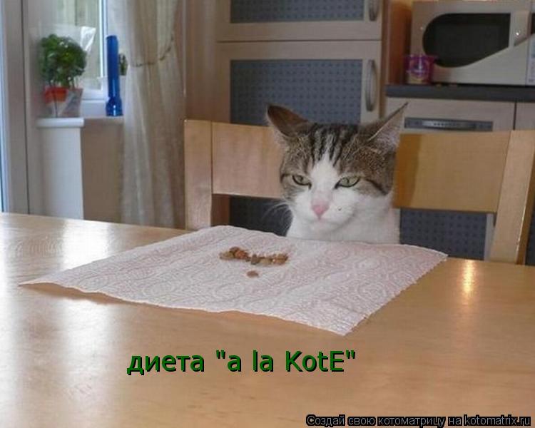 диета "a la KotE" диета "a la KotE"... Котоматрица: диета "a la KotE" диета "a la KotE"