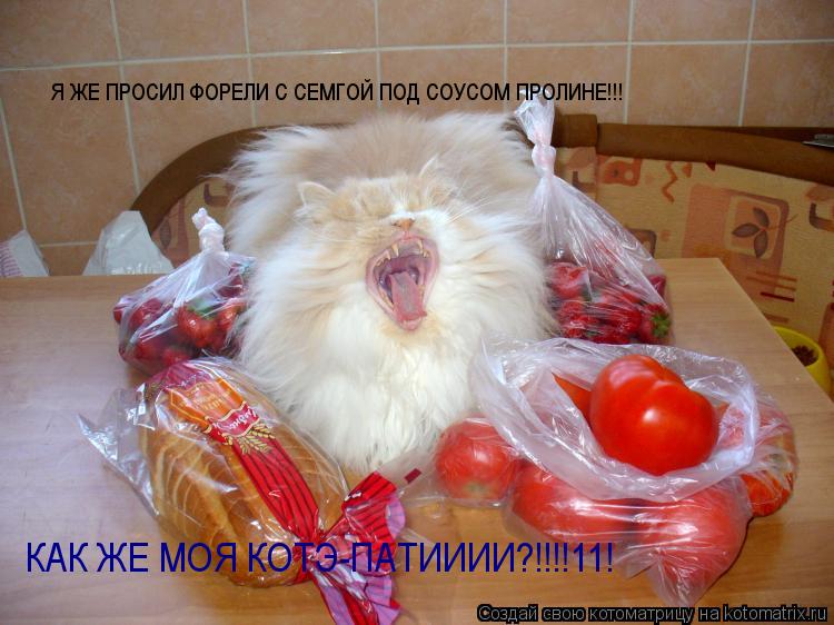 Я ЖЕ ПРОСИЛ ФОРЕЛИ С СЕМГОЙ ПОД СОУСОМ ПРОЛИНЕ!!! КАК ЖЕ МОЯ КОТЭ-ПАТИИИИ?!!!!11!... Котоматрица: Я ЖЕ ПРОСИЛ ФОРЕЛИ С СЕМГОЙ ПОД СОУСОМ ПРОЛИНЕ!!! КАК ЖЕ МОЯ КОТЭ-ПАТИИИИ?!!!!11!