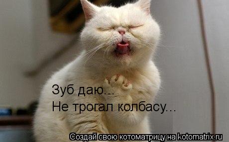 Зуб даю... Не трогал колбасу...... Котоматрица: Зуб даю... Не трогал колбасу...