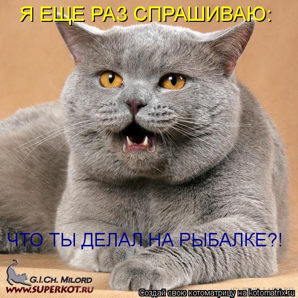 Котоматрица: Я ЕЩЕ РАЗ СПРАШИВАЮ: ЧТО ТЫ ДЕЛАЛ НА РЫБАЛКЕ?!