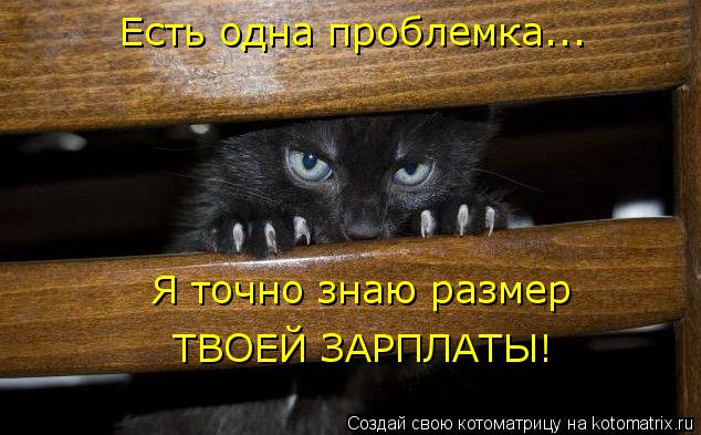 Котоматрица: Есть одна проблемка... Я точно знаю размер ТВОЕЙ ЗАРПЛАТЫ!
