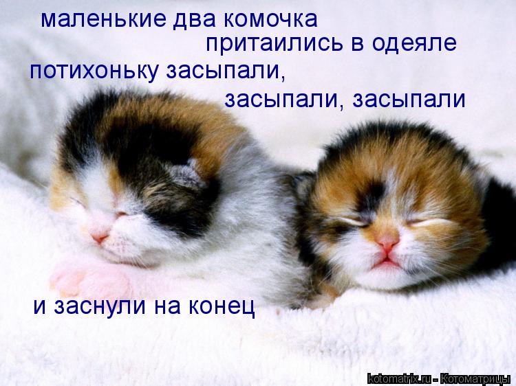 Котоматрица: маленькие два комочка  притаились в одеяле потихоньку засыпали, засыпали, засыпали и заснули на конец