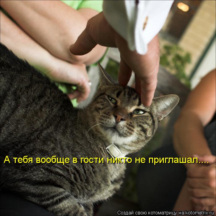 Котоматрица: А тебя вообще в гости никто не приглашал....