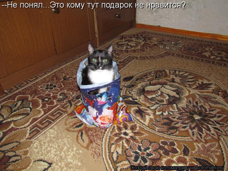 Котоматрица: --Не понял...Это кому тут подарок не нравится?