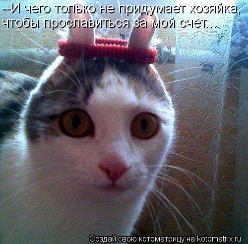 Котоматрица: --И чего только не придумает хозяйка, чтобы прославиться за мой счёт...
