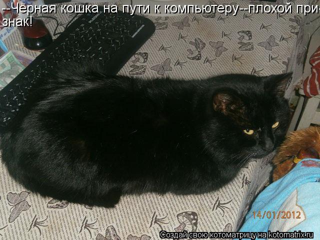Котоматрица: --Чёрная кошка на пути к компьютеру--плохой при- знак!