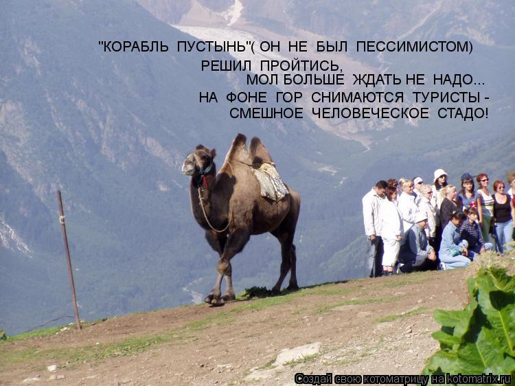 Котоматрица: СМЕШНОЕ  ЧЕЛОВЕЧЕСКОЕ  СТАДО! НА  ФОНЕ  ГОР  СНИМАЮТСЯ  ТУРИСТЫ - МОЛ БОЛЬШЕ  ЖДАТЬ НЕ  НАДО... РЕШИЛ  ПРОЙТИСЬ, "КОРАБЛЬ  ПУСТЫНЬ"( ОН  НЕ  БЫЛ  ПЕС