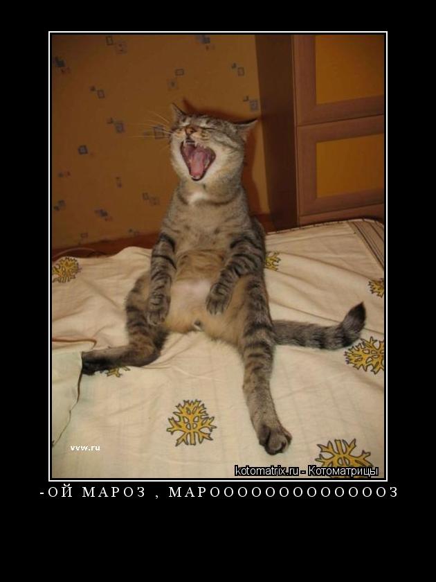 Котоматрица: -Ой мароз , мароооооооооооооз 