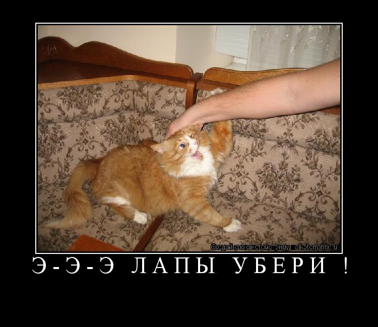 Котоматрица: Э-э-э Лапы убери ! 