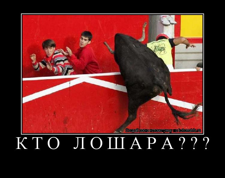 Котоматрица: кто лошара??? 