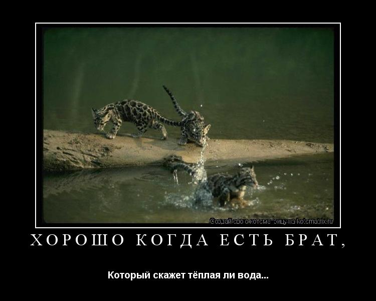 Хорошо когда есть брат, Который скажет тёплая ли вода...... Котоматрица: Хорошо когда есть брат, Который скажет тёплая ли вода...