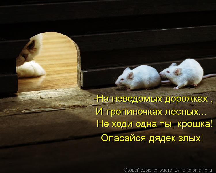 -На неведомых дорожках , И тропиночках лесных... Не ходи одна ты, крошка! Опасайся дядек злых!... Котоматрица: -На неведомых дорожках , И тропиночках лесных... Не ходи одна ты, крошка! Опасайся дядек злых!