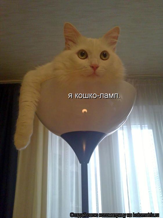 Котоматрица: я кошко-ламп я кошко-ламп.