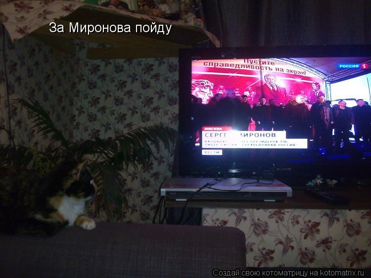 Котоматрица: За Миронова пойду
