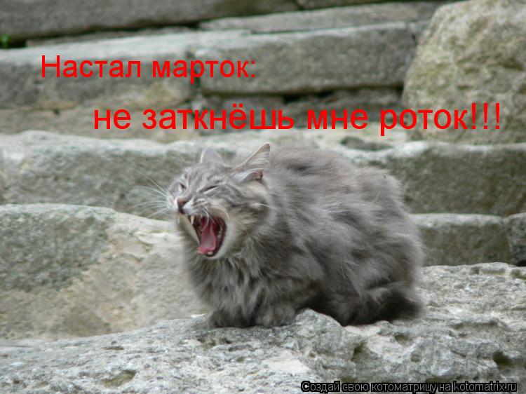 Котоматрица: Настал марток: не заткнёшь мне роток!!!