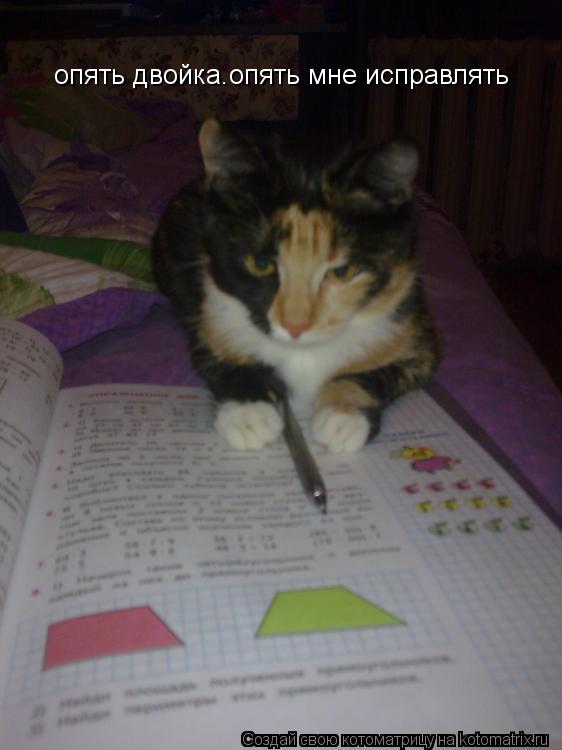 Котоматрица: опять двойка.опять мне исправлять