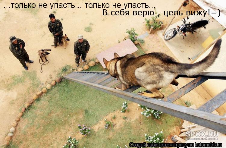 ...только не упасть... только не упасть... ...только не упасть... только не упасть... В себя верю ,... Котоматрица: ...только не упасть... только не упасть... ...только не упасть... только не упасть... В себя верю , цель вижу!=)