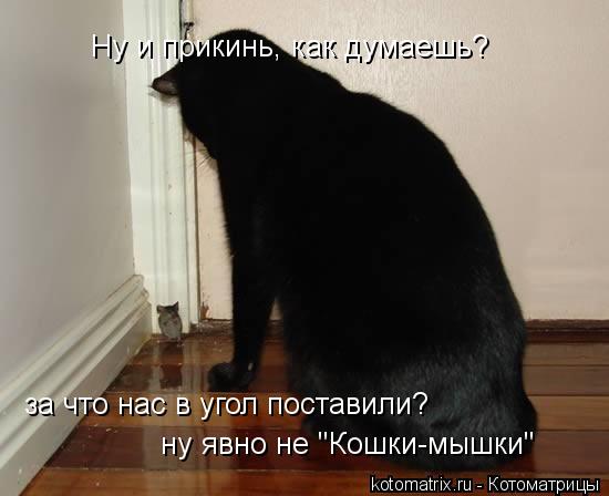 Котоматрица: Ну и прикинь, как думаешь?  за что нас в угол поставили? ну явно не "Кошки-мышки"