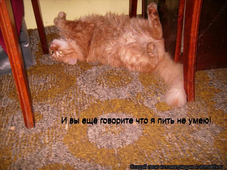 Котоматрица: И вы ещё говорите что я пить не умею! И вы ещё говорите что я пить не умею! И вы ещё говорите что я пить не умею!