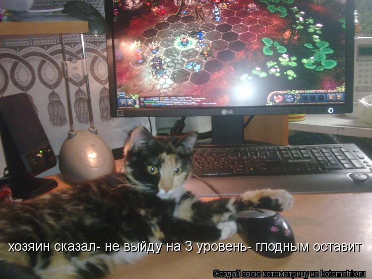 Котоматрица: хозяин сказал- не выйду на 3 уровень- глодным оставит