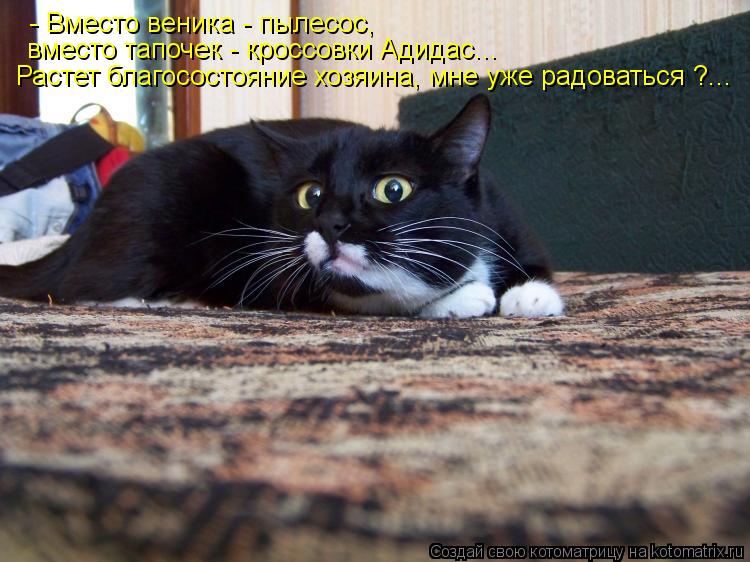 Котоматрица: - Вместо веника - пылесос, вместо тапочек - кроссовки Адидас... Растет благосостояние хозяина, мне уже радоваться ?...