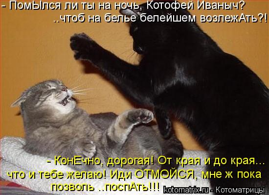 Котоматрица: - ПомЫлся ли ты на ночь, Котофей Иваныч? ..чтоб на белье белейшем возлежАть?! - КонЕчно, дорогая! От края и до края... что и тебе желаю! Иди ОТМОЙС