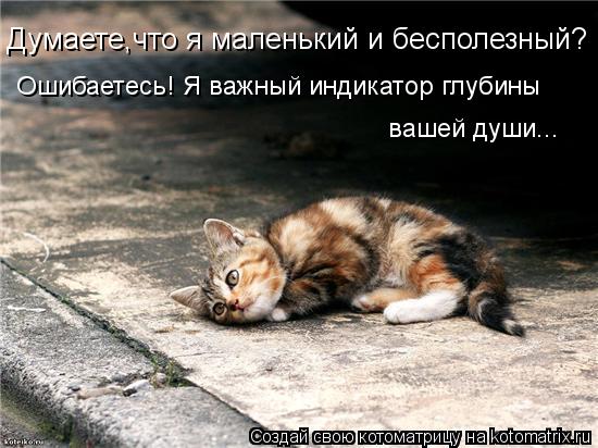 Котоматрица: Думаете,что я маленький и бесполезный? Ошибаетесь! Я важный индикатор глубины вашей души...