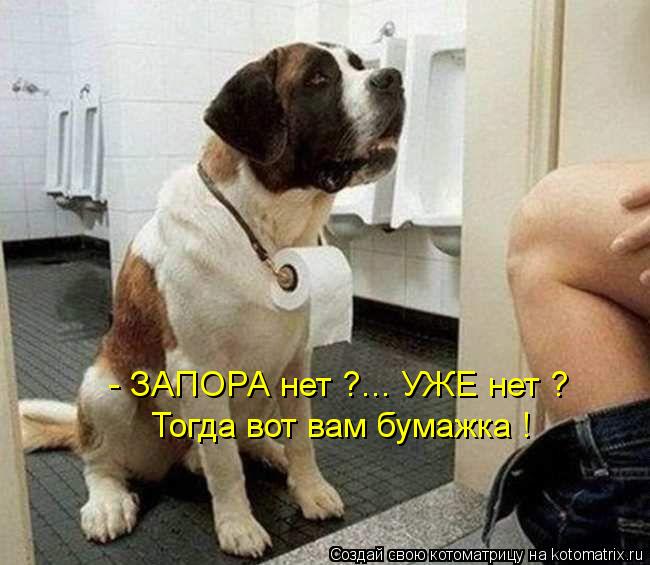 Котоматрица: - ЗАПОРА нет ?... УЖЕ нет ? Тогда вот вам бумажка !