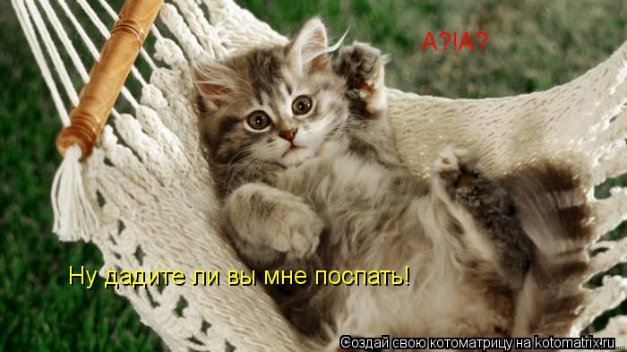 Котоматрица: А?!А?  Ну дадите ли вы мне поспать!