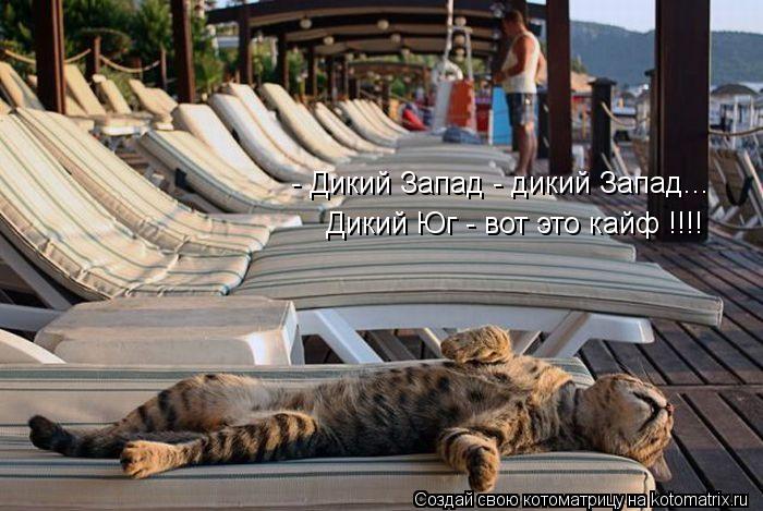 Котоматрица: - Дикий Запад - дикий Запад... Дикий Юг - вот это кайф !!!!