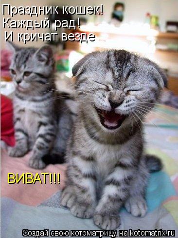 Котоматрица: Праздник кошек! Каждый рад! И кричат везде ВИВАТ!!!