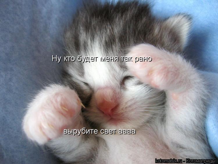 Котоматрица: Ну кто будет меня так рано вырубите свет аааа