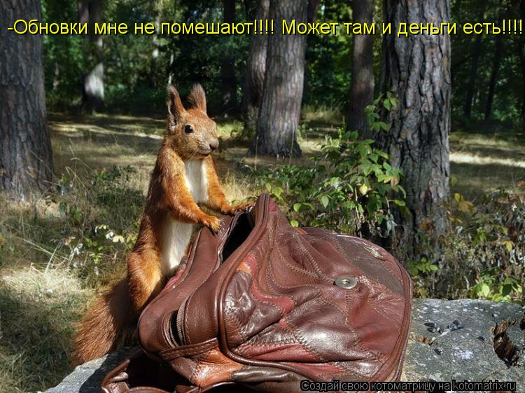 Котоматрица: -Обновки мне не помешают!!!! Может там и деньги есть!!!!