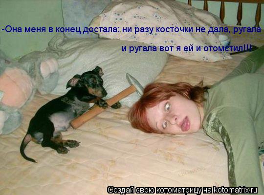 Котоматрица: -Она меня в конец достала: ни разу косточки не дала, ругала и ругала вот я ей и отомстил!!!